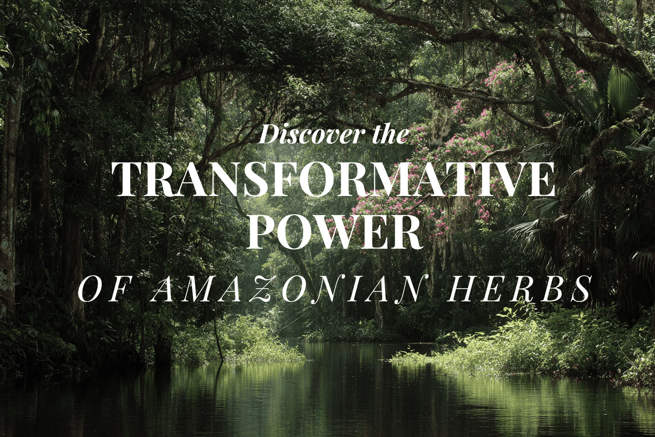 amazon jungle (web-optimized)